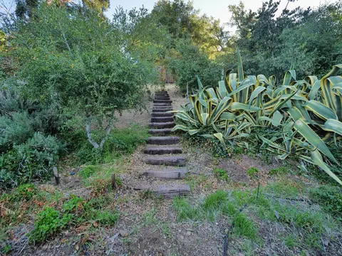 Exterior - 2040 Esperanza Dr, Concord, CA 94519 photo 15 of 19