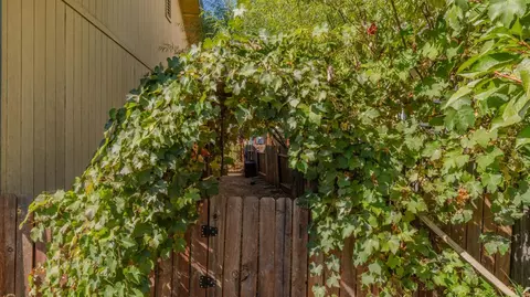Exterior - 202 Westview Dr, Jackson, CA 95642 photo 13 of 15