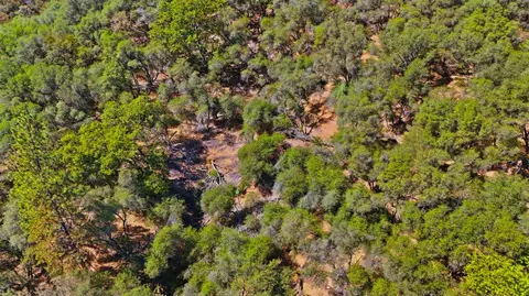 17428 Brewer Rd, Grass Valley, CA 95949 photo 11