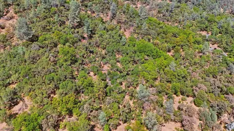 17428 Brewer Rd, Grass Valley, CA 95949 photo 18
