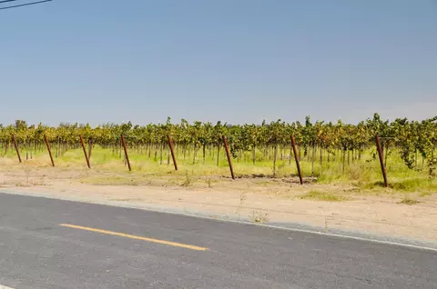 21924 N Ray Rd, Lodi, CA 95242 photo 23