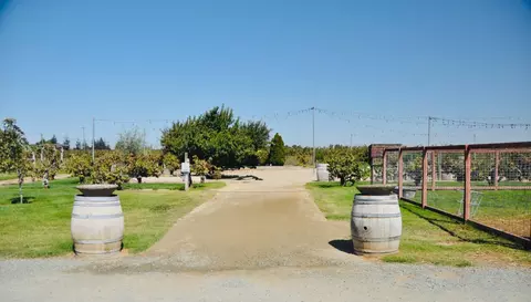 21924 N Ray Rd, Lodi, CA 95242 photo 7