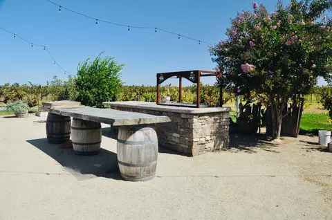 21924 N Ray Rd, Lodi, CA 95242 photo 15