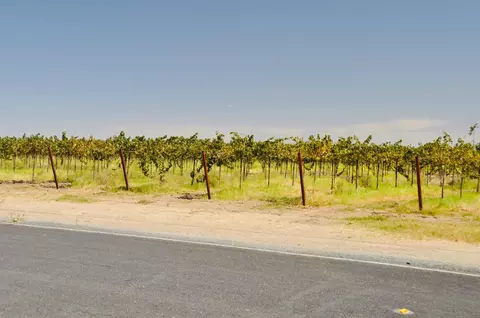 21924 N Ray Rd, Lodi, CA 95242 photo 22