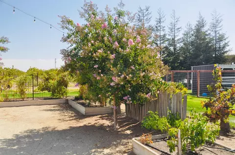 21924 N Ray Rd, Lodi, CA 95242 photo 13