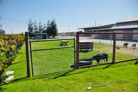 21924 N Ray Rd, Lodi, CA 95242 photo 9