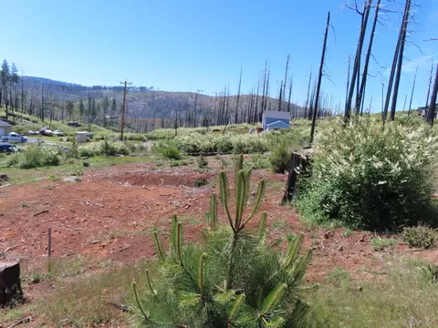 7130 Winding Way, Grizzly Flats, CA 95636