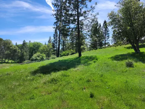 Exterior - 10006 Wendell Rd, Mountain Ranch, CA 95246 photo 9 of 12