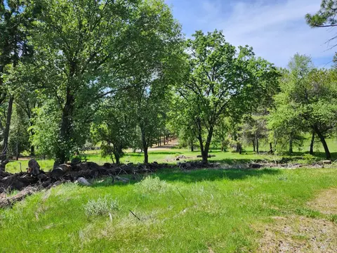 Exterior - 10006 Wendell Rd, Mountain Ranch, CA 95246 photo 5 of 12