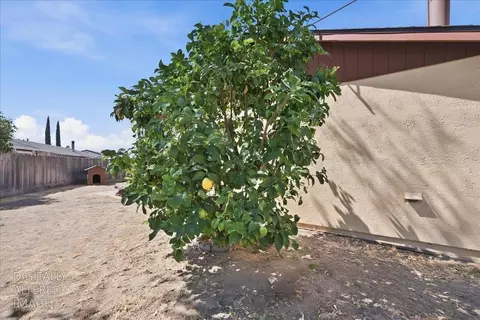 Exterior - 264 Dana Ct, Manteca, CA 95336 photo 6 of 9