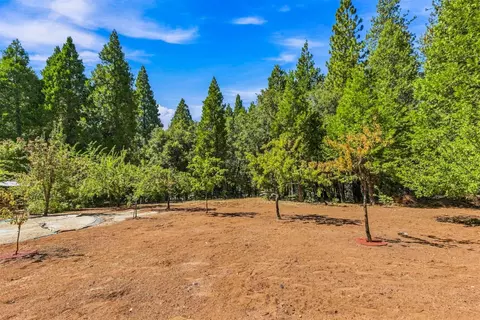 Exterior - 21985 Shake Ridge Rd, Volcano, CA 95689 photo 9 of 47