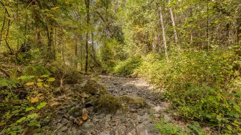 14255 E Quartz Mountain E Rd, Sutter Creek, CA 95685 photo 26