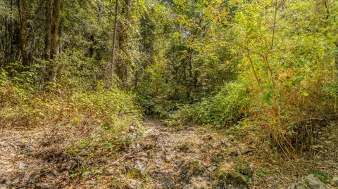 14255 E Quartz Mountain E Rd, Sutter Creek, CA 95685 photo 27