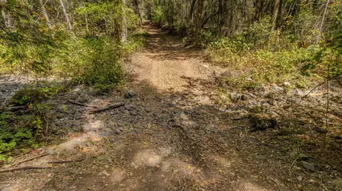 14255 E Quartz Mountain E Rd, Sutter Creek, CA 95685 photo 7