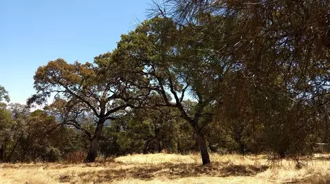 2 Crystal Blvd, El Dorado, CA 95623