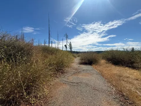 7329 S View Dr, Grizzly Flats, CA 95636