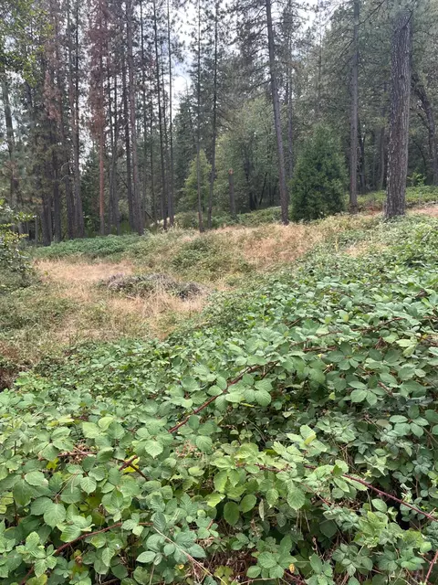 Other - 478 Carol Dr, Grass Valley, CA 95945 photo 1 of 5