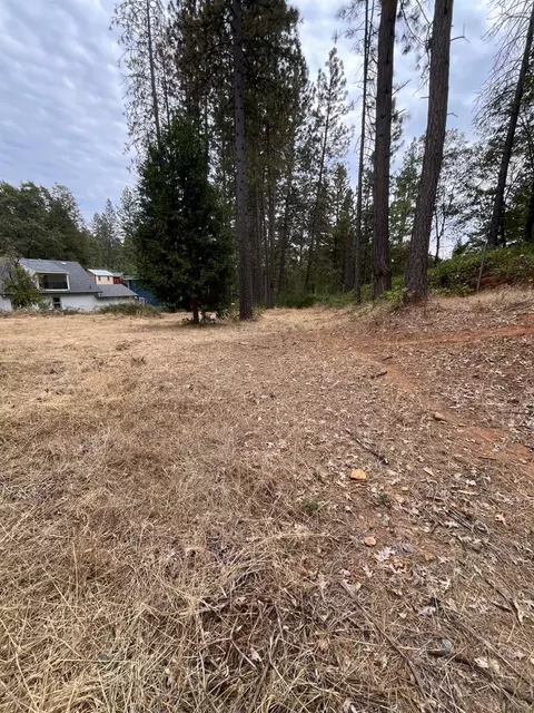 Exterior - 478 Carol Dr, Grass Valley, CA 95945 photo 8 of 8