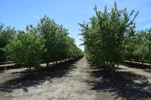 Other - 6547 County Road 48, Willows, CA 95988 photo 3 of 11