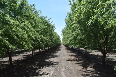 Other - 6547 County Road 48, Willows, CA 95988 photo 5 of 11