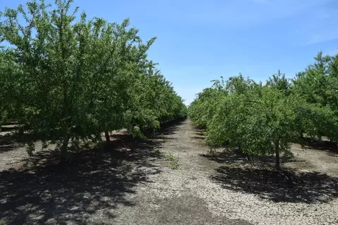 Other - 6547 County Road 48, Willows, CA 95988 photo 4 of 11