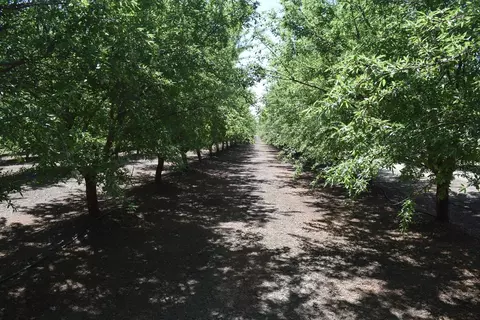 Other - 6547 County Road 48, Willows, CA 95988 photo 9 of 11
