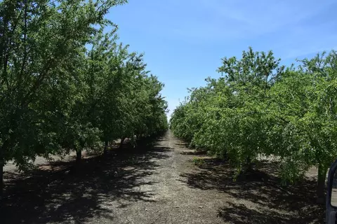 Other - 6547 County Road 48, Willows, CA 95988 photo 2 of 11