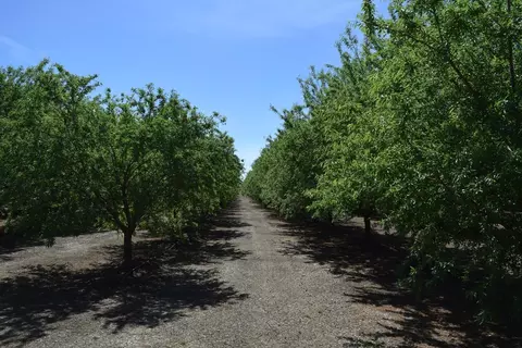 Other - 6547 County Road 48, Willows, CA 95988 photo 10 of 11