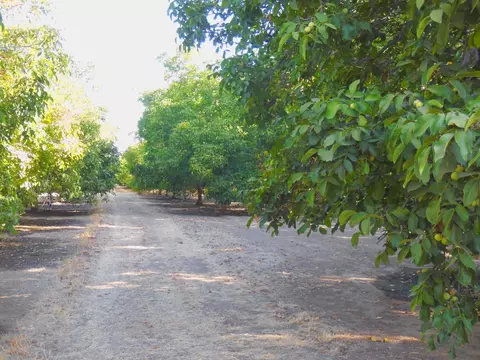 0 Clark Rd, Live Oak, CA 95953 photo 4