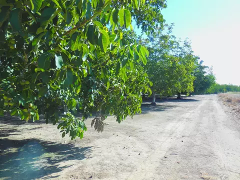 0 Clark Rd, Live Oak, CA 95953 photo 13