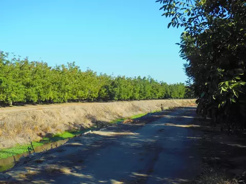 0 Clark Rd, Live Oak, CA 95953 photo 6