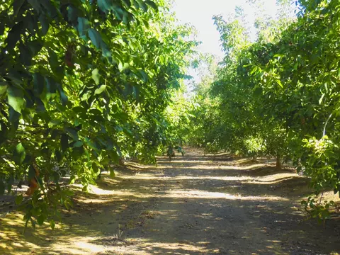0 Clark Rd, Live Oak, CA 95953 photo 9