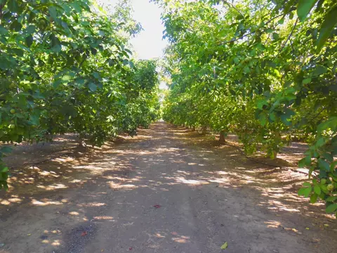 0 Clark Rd, Live Oak, CA 95953 photo 8