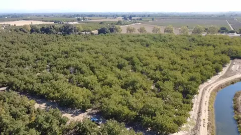 0 Clark Rd, Live Oak, CA 95953 photo 17