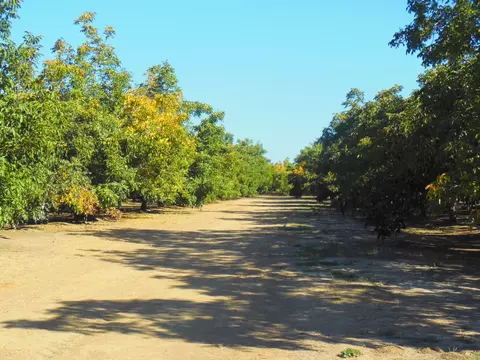 0 Clark Rd, Live Oak, CA 95953 photo 15