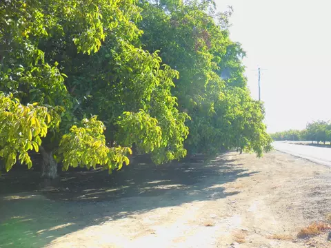 0 Clark Rd, Live Oak, CA 95953 photo 5