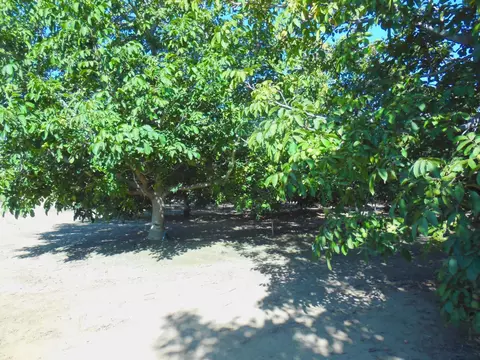 0 Clark Rd, Live Oak, CA 95953 photo 14
