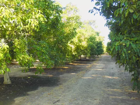 0 Clark Rd, Live Oak, CA 95953 photo 2