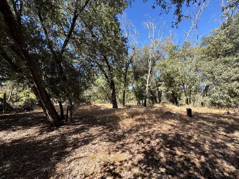 Exterior - 7747 Doster Rd, Mountain Ranch, CA 95246 photo 12 of 15