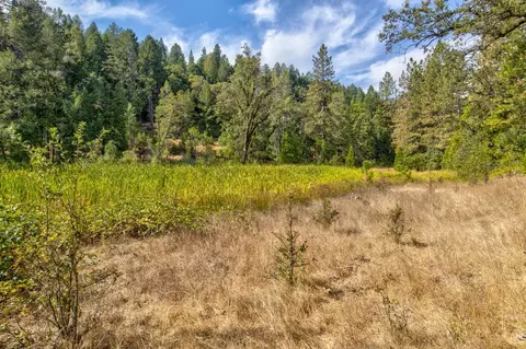26835 State Highway 88, Pioneer, CA 95666