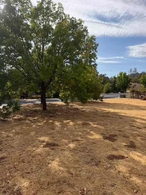 576 Quiet Pl, Murphys, CA 95247 photo 4