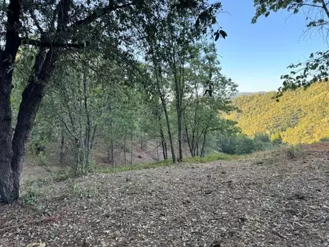 5927 Black Quartz Rd, Murphys, CA 95247 photo 3