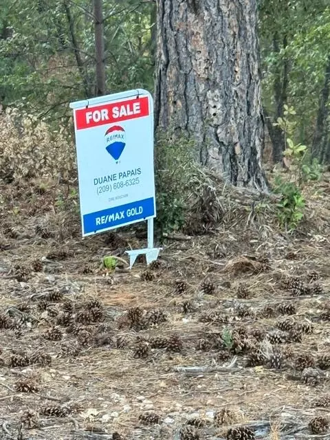 5927 Black Quartz Rd, Murphys, CA 95247 photo 4