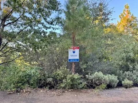 5809 Black Quartz Rd, Murphys, CA 95247 photo 4