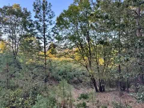 5809 Black Quartz Rd, Murphys, CA 95247 photo 3