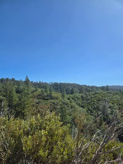 0 Mule Skinner Rd, Placerville, CA 95667 photo 16