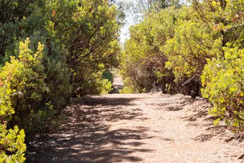 0 Mule Skinner Rd, Placerville, CA 95667 photo 7