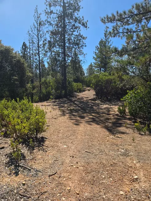 0 Mule Skinner Rd, Placerville, CA 95667 photo 27