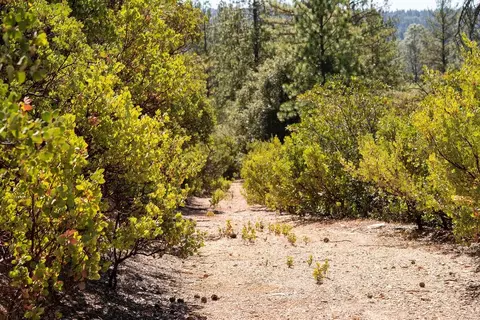 0 Mule Skinner Rd, Placerville, CA 95667 photo 12