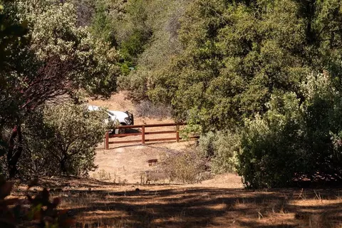 0 Mule Skinner Rd, Placerville, CA 95667 photo 13